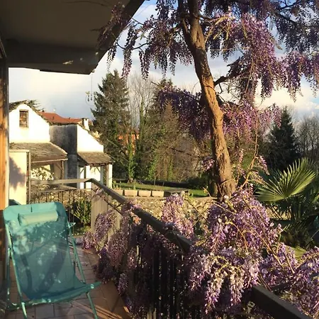 Il Glicine
